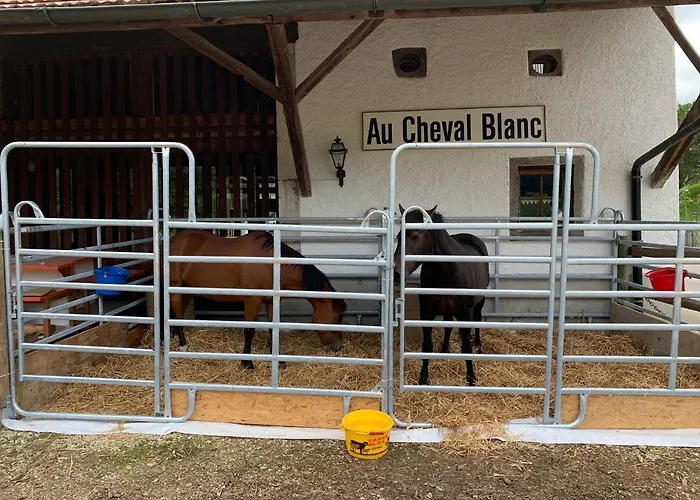Au Cheval Blanc