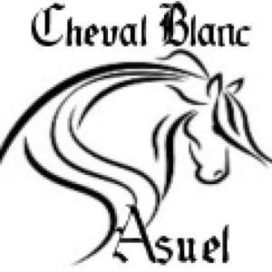 Gasthof Au Cheval Blanc Asuel